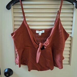 SHEIN Cinnamon Tie-Front Crop Top
